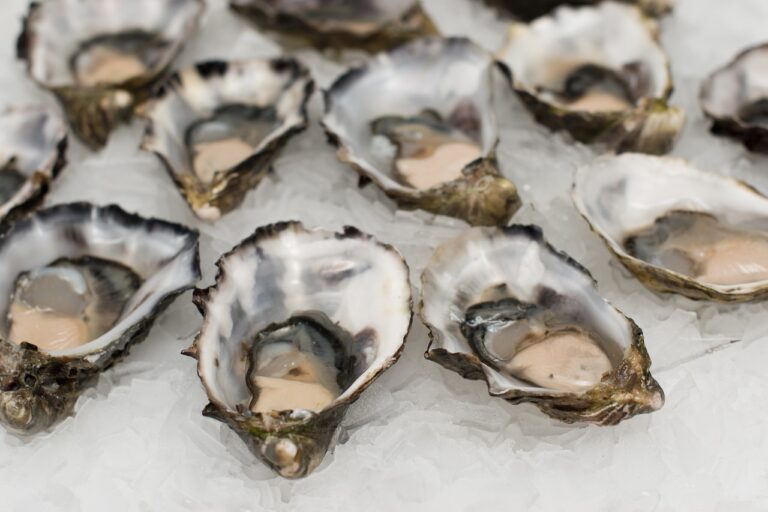 oysters, shell fish, seafood-2220607.jpg