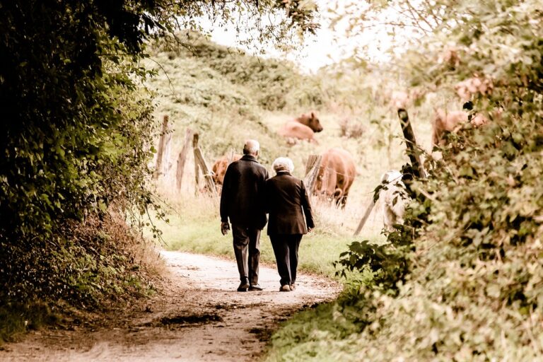 elderly, couple, walking, trail, countryside, rural, retired, leisure, path, elderly, elderly, elderly, elderly, couple, couple, couple, couple, couple, walking, walking, walking, walking