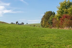 nature, landscape, autumn, hills, limburg, simpelveld, limburg, limburg, limburg, limburg, limburg